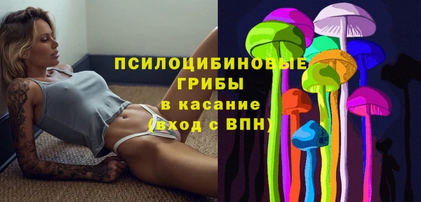 кокаин перу Богданович