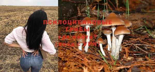 кокаин перу Богданович