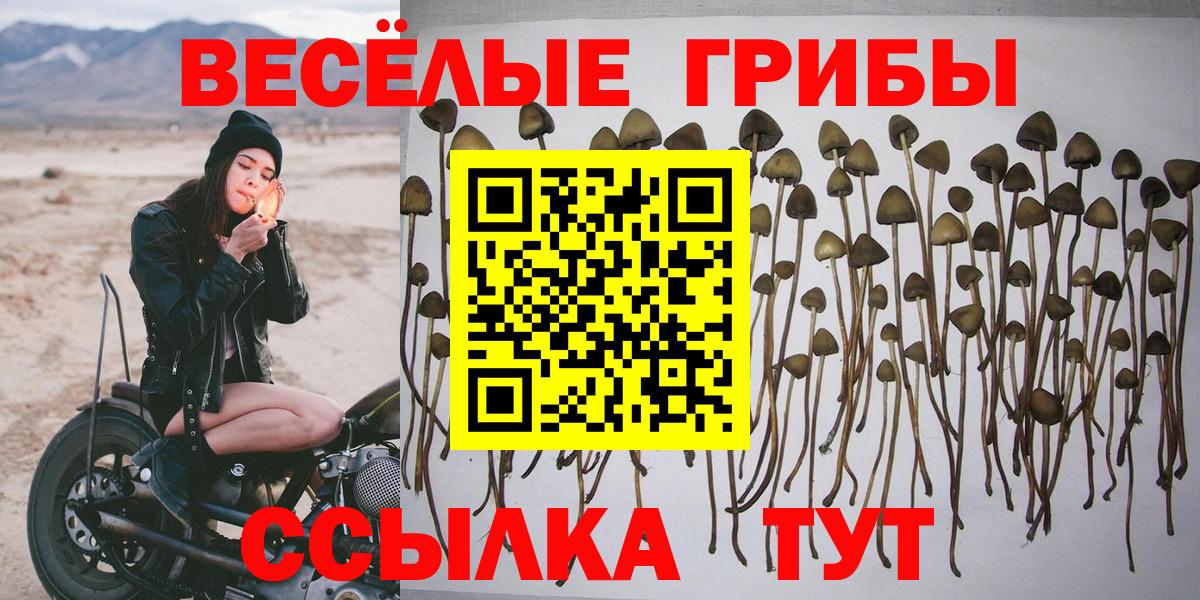 Псилоцибиновые грибы ЛСД  Вход с VPN  Среднеуральск 