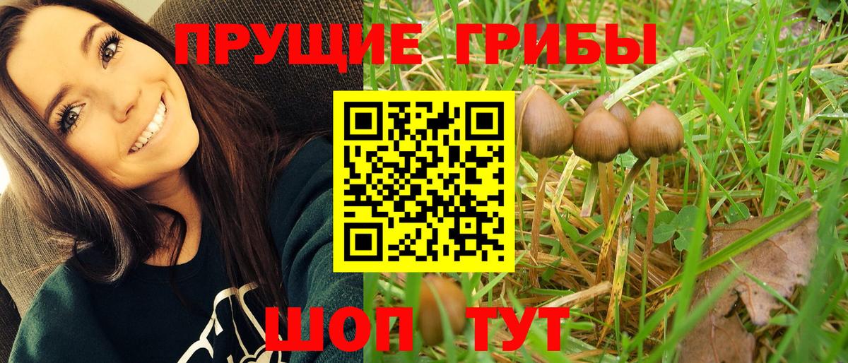 Псилоцибиновые грибы MAGIC MUSHROOMS Среднеуральск